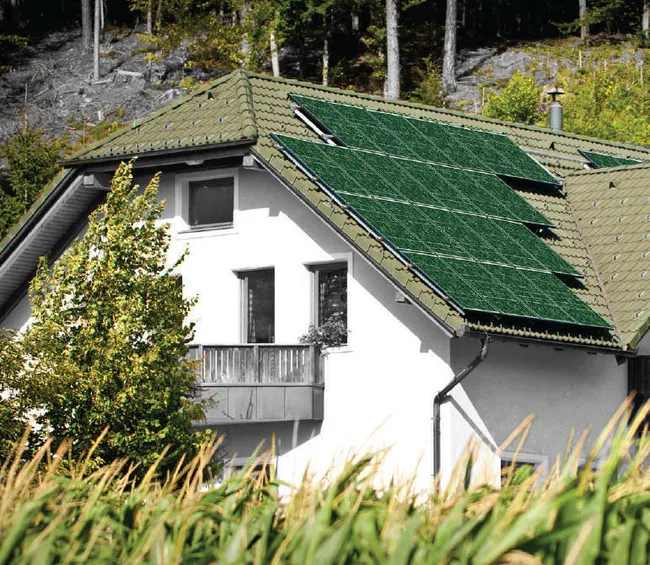 10er-Pack olivgrüne Solarmodule 300 W – Bild 3